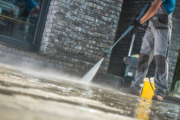 Best Dumpster Area Cleaning  in Roodhouse, IL