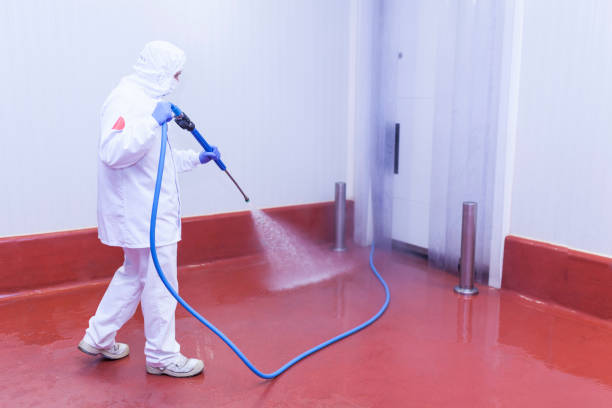 Best Factory Floor Cleaning  in Roodhouse, IL