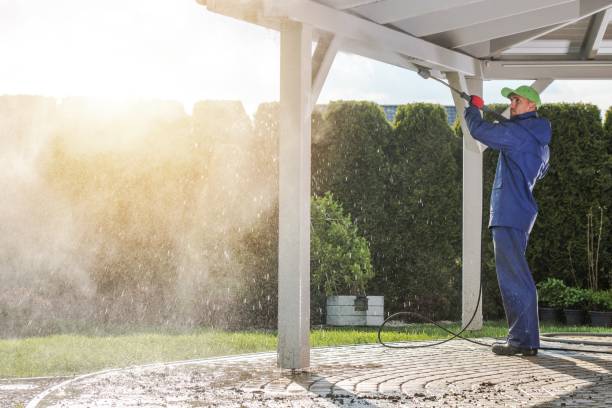 Best Spring Cleaning  in Roodhouse, IL