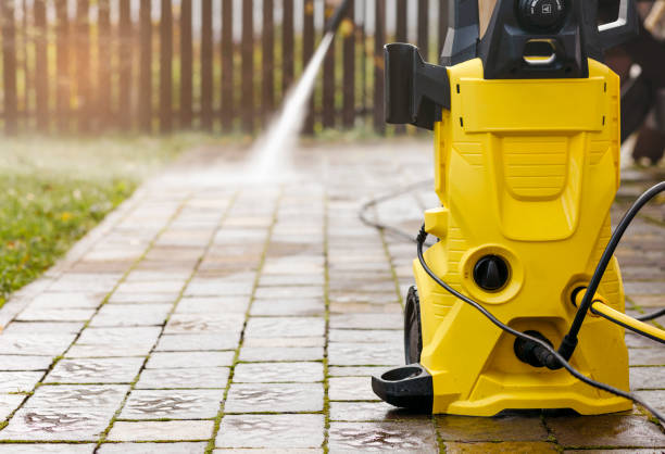 Best Gutter Cleaning  in Roodhouse, IL