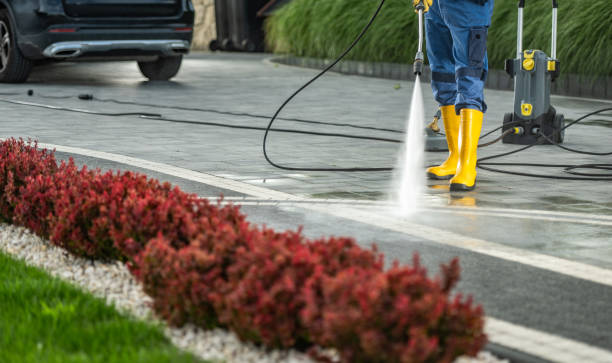 Best Pool Deck Cleaning  in Roodhouse, IL